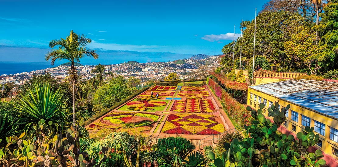 The Botanical Gardens of Funchal